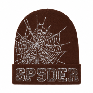 Gorro Sp5der Web Marrón