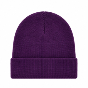 Sp5der Web Beanie Púrpura