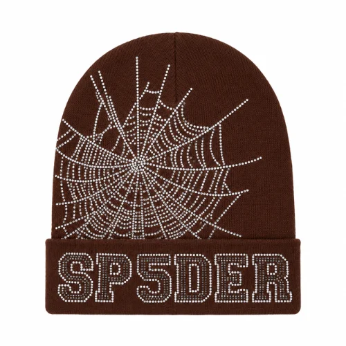 Gorro Sp5der Web Marrón